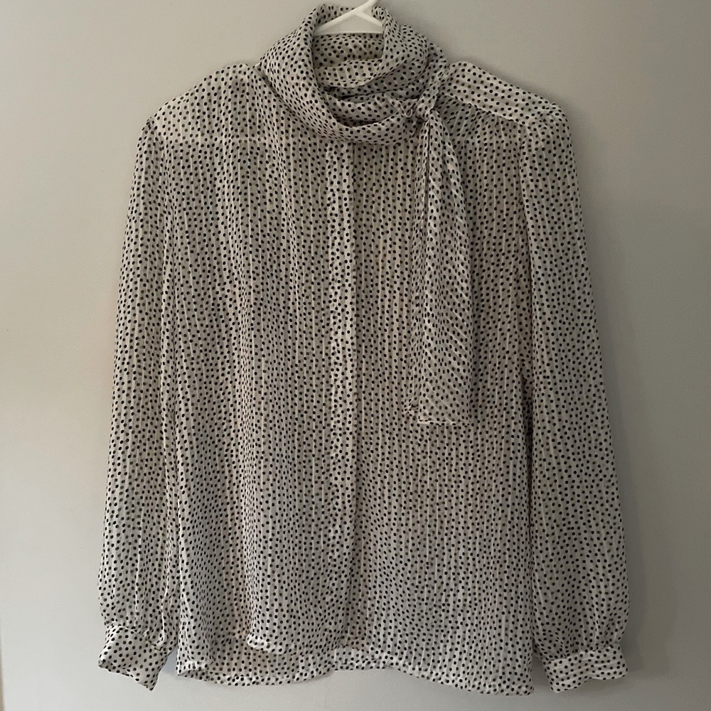 Micro Dot Vintage Chiffon Blouse